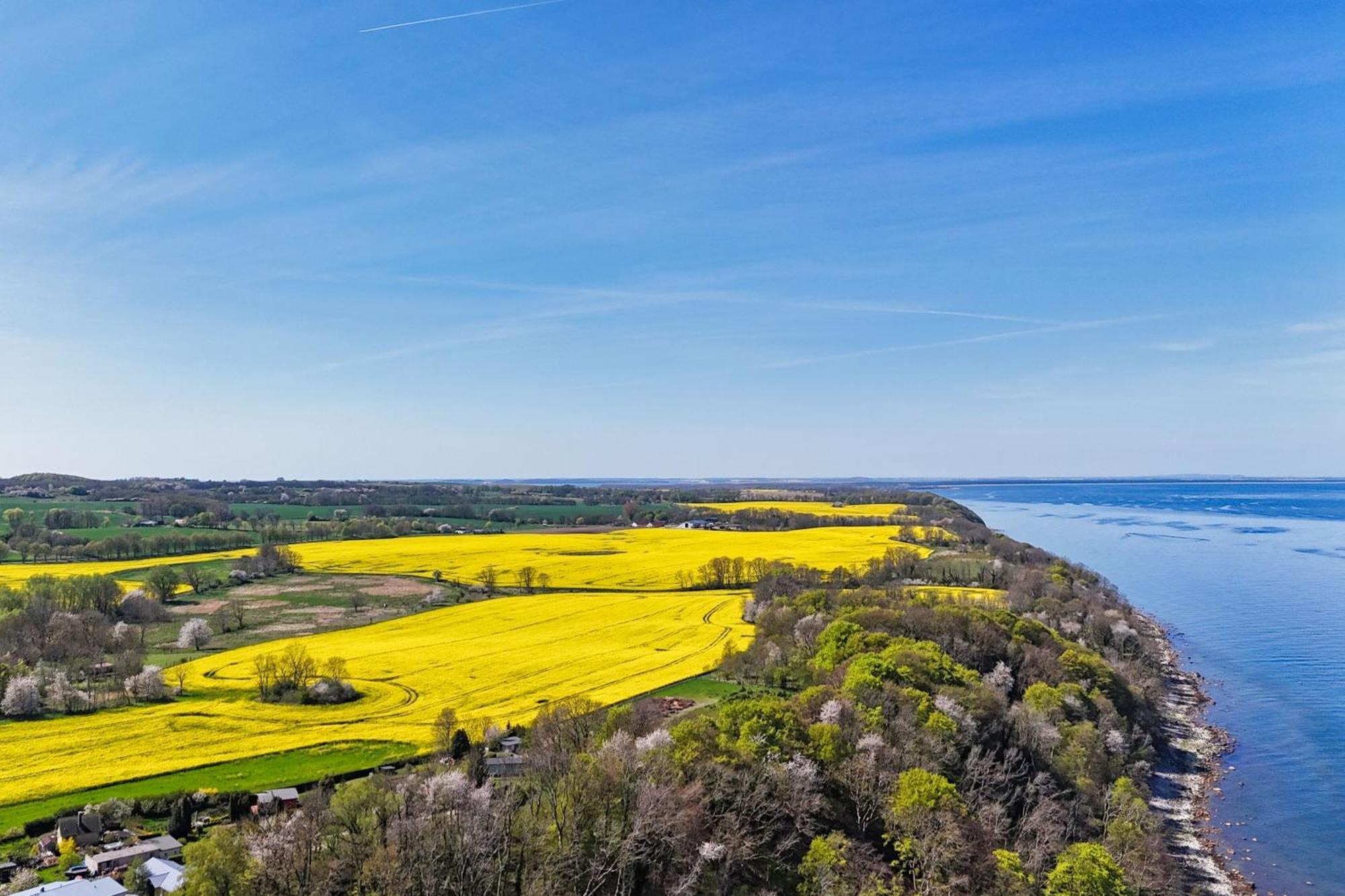 Ferienwohnung Mit Traumhaftem Meerblick - Haus Am Meer Fewo 01 Lohme Dış mekan fotoğraf